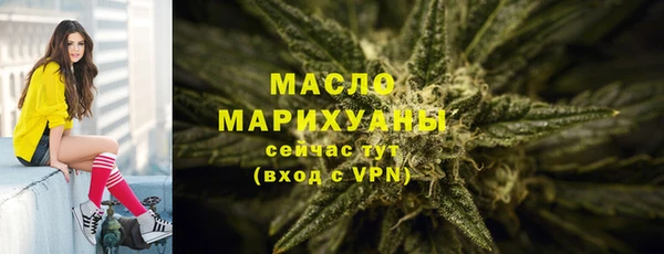 СК Алексин
