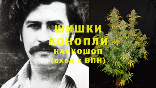 дурь Алзамай