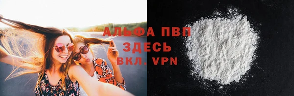 СК Алексин