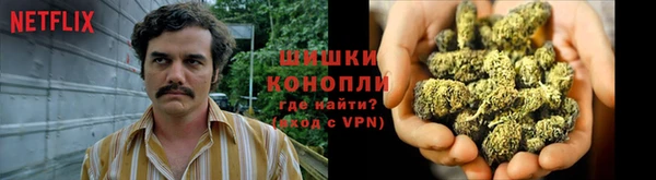 дурь Алзамай