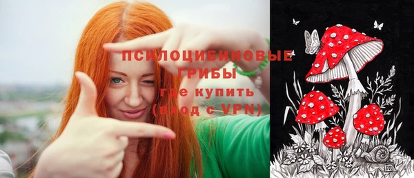 дурь Алзамай